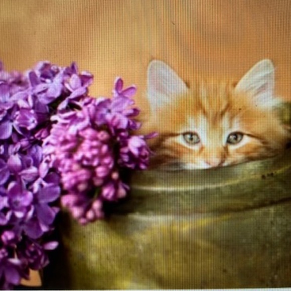 "When in doubt, wear a dress" - Picture 5 of 13